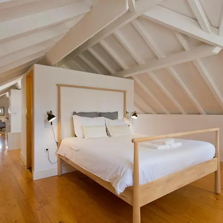 Aposentus - Architect And Design *